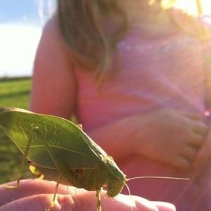 Meet your Posher, Kerry